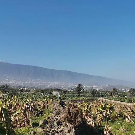Apartment Bucare, Finca Jardin Del Rincon Barreto El Rincon (Tenerife)
