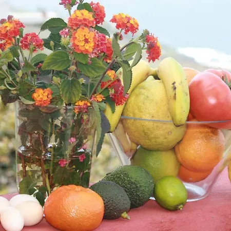 Bucare, Finca Jardin Del Rincon Barreto Apartment